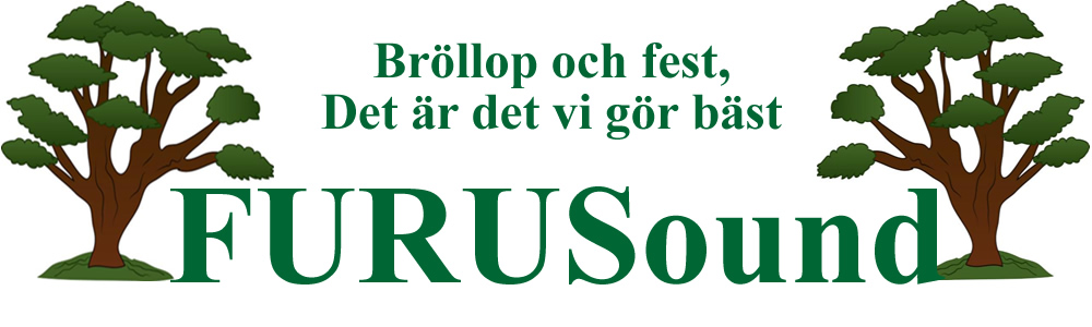 Hyr ljud och ljus  till bröllop och fest i Skåne